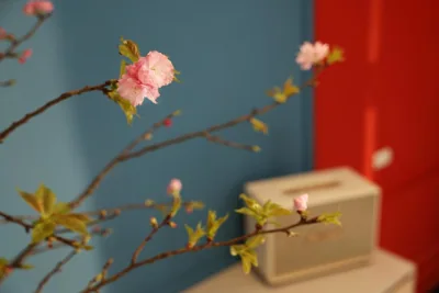 Well-being Home - Self-Service – Photos 14